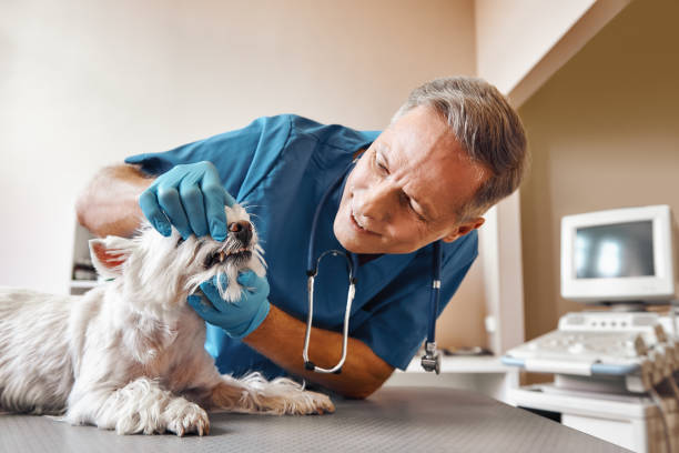 Best Emergency Tooth Extraction in Olyphant, PA